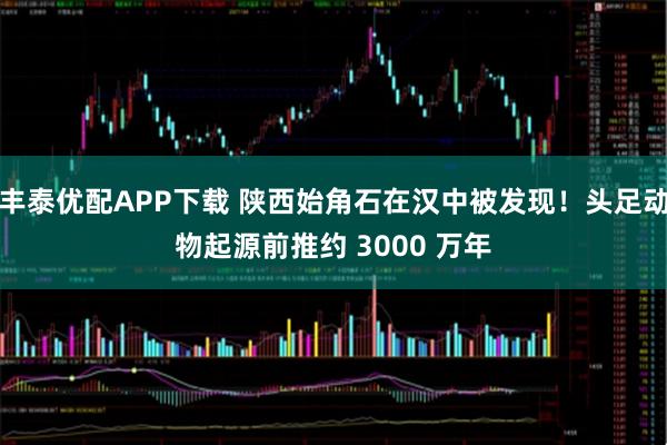 丰泰优配APP下载 陕西始角石在汉中被发现！头足动物起源前推约 3000 万年