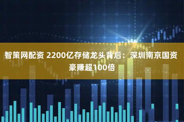 智策网配资 2200亿存储龙头背后：深圳南京国资 豪赚超100倍